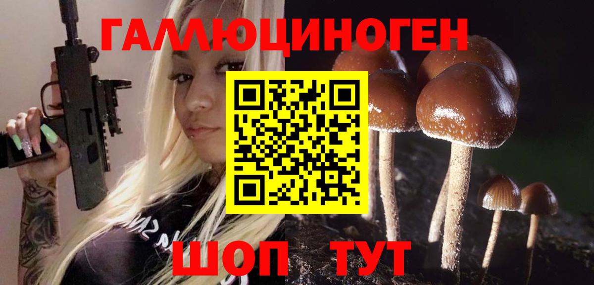Альметьевск  Псилоцибиновые грибы прущие грибы  Вход с VPN 