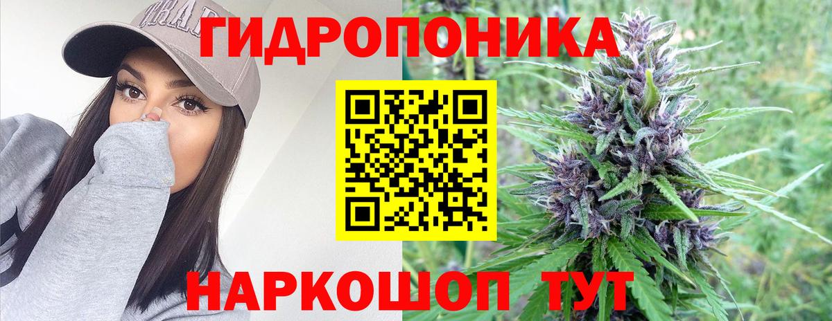 Бошки марихуана тримм  Вход с VPN  Альметьевск  Каннабис план  МАРИХУАНА AK-47  МАРИХУАНА AK-47 